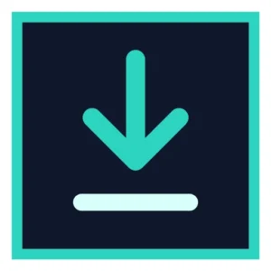 rDownloader